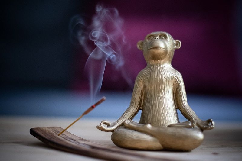Foto de macaco sentado em estilo indiano com incenso, de Anke Sundermeier, do Pixabay