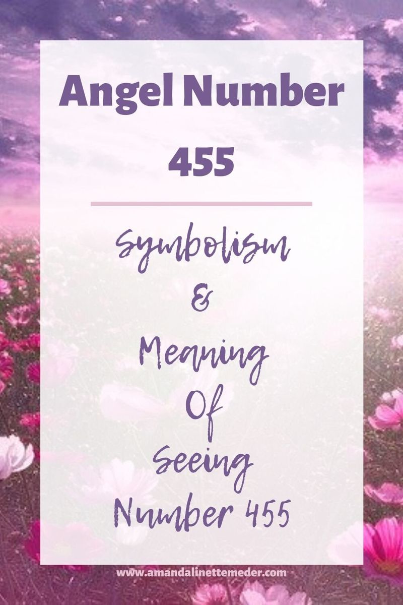 Нумерология на 4 и 55 - Снимка на розови Cosmo цветя в поле от DreamyArt от Pixabay с наслагване на текст, ангелски номер 455 - символизъм и значение на виждането на номер 455