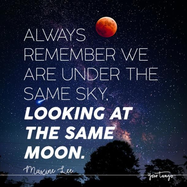 citação de Maxine Lee Moon